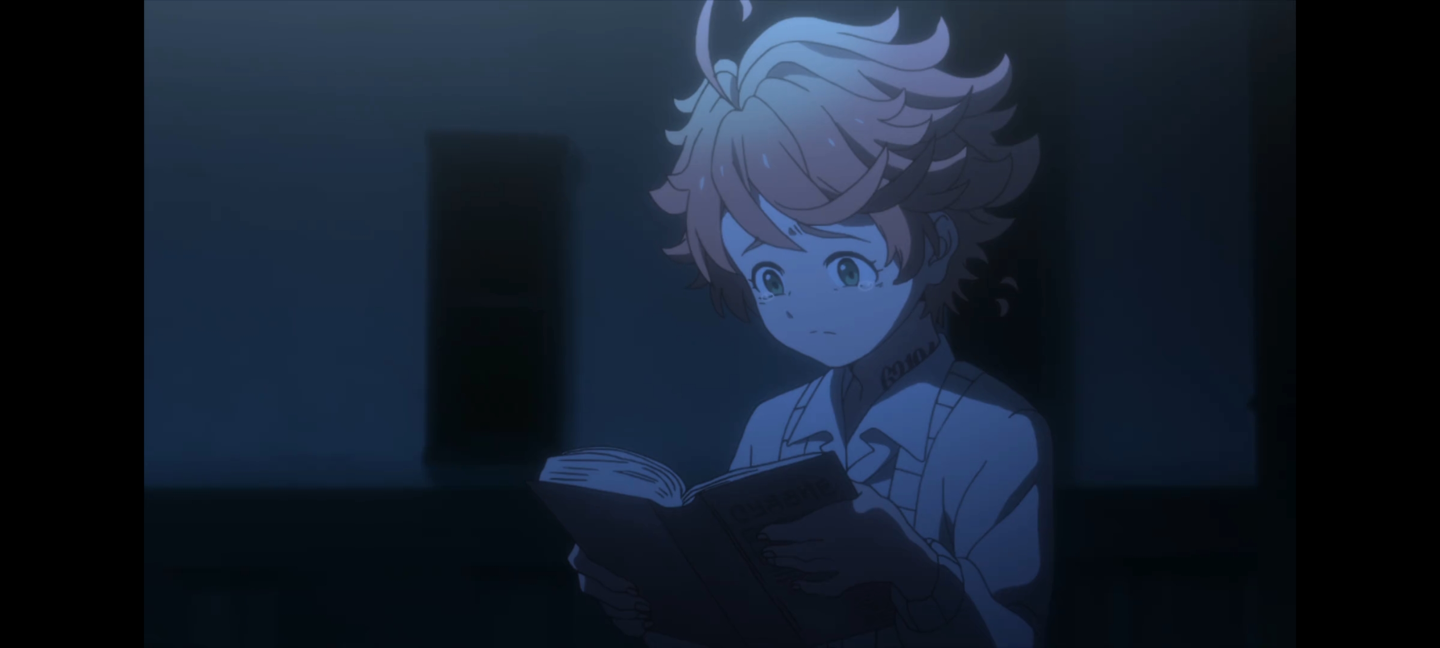 约定的梦幻岛,动画,动漫,番剧,二次元,ACG