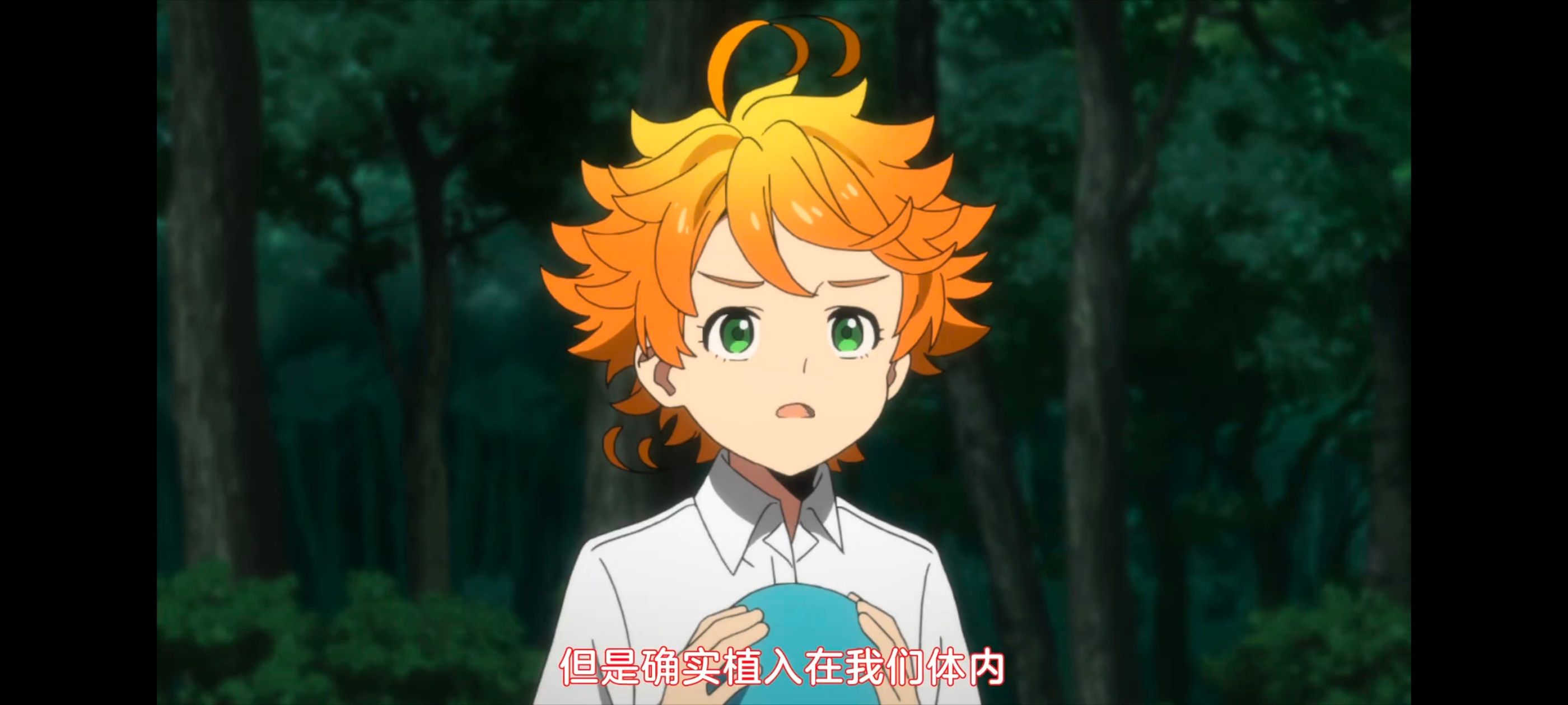 约定的梦幻岛,动画,动漫,番剧,ACG