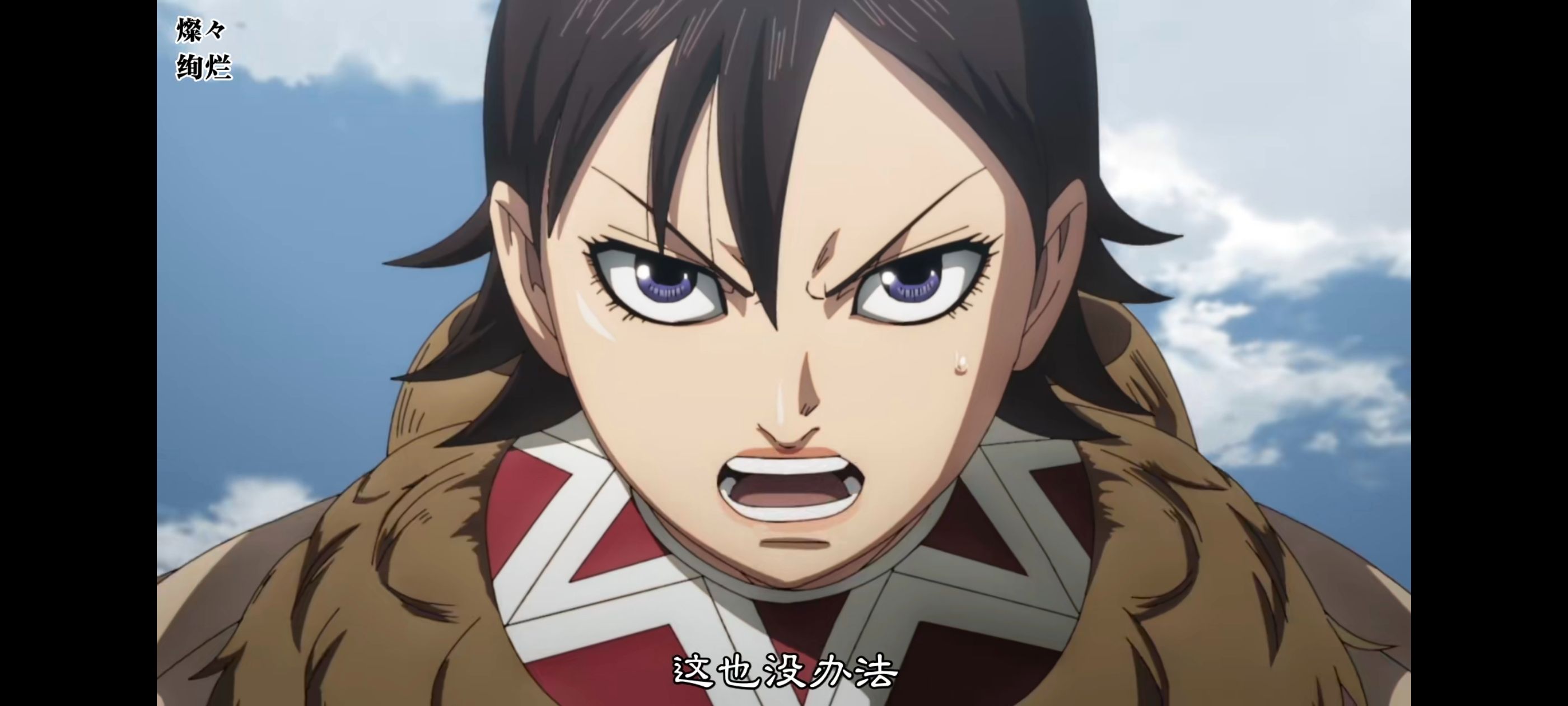 王者天下,动画,动漫,番剧,ACG