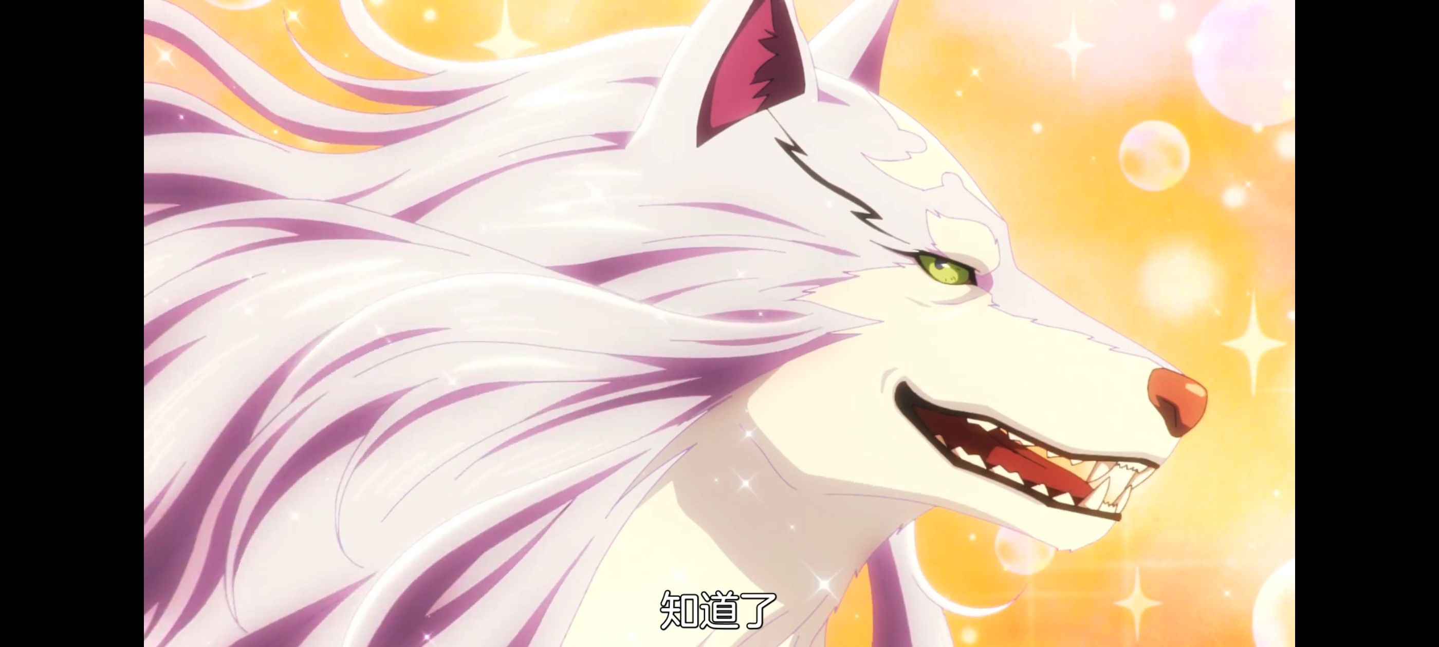 网购技能开启异世界美食之旅,拥有超常技能的异世界流浪美食家,动画,动漫,番剧,ACG