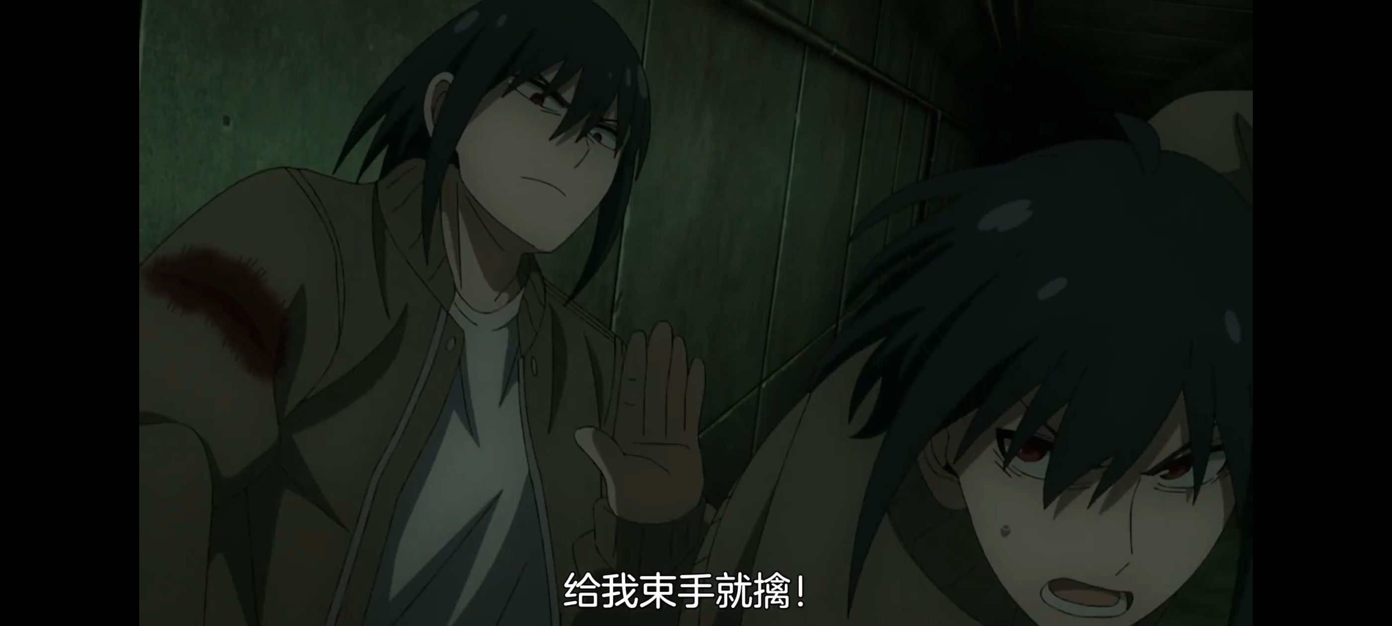 间谍过家家,SPYFAMILY,动画,动漫,番剧,ACG