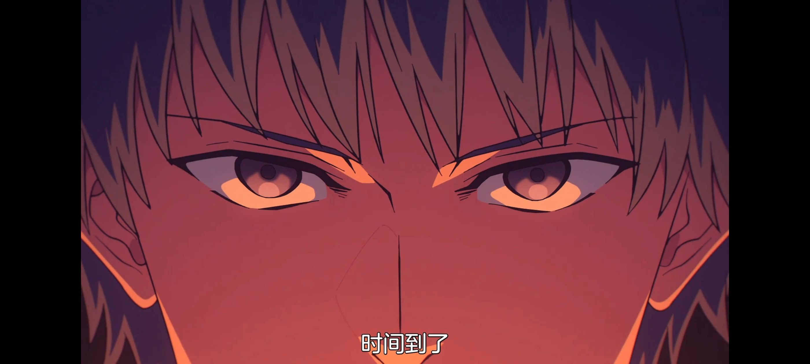 命运奇异赝品,FatestrangeFake,动画,动漫,番剧,ACG