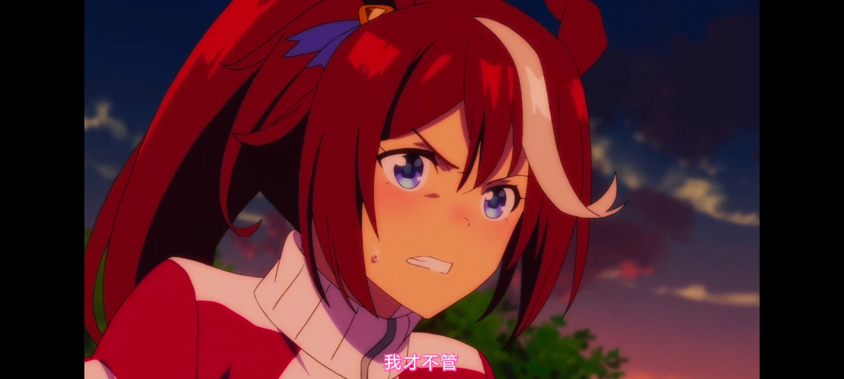 赛马娘,赛马娘PrettyDerby,赛马娘第二季,番剧,动画,动漫,二次元,ACG