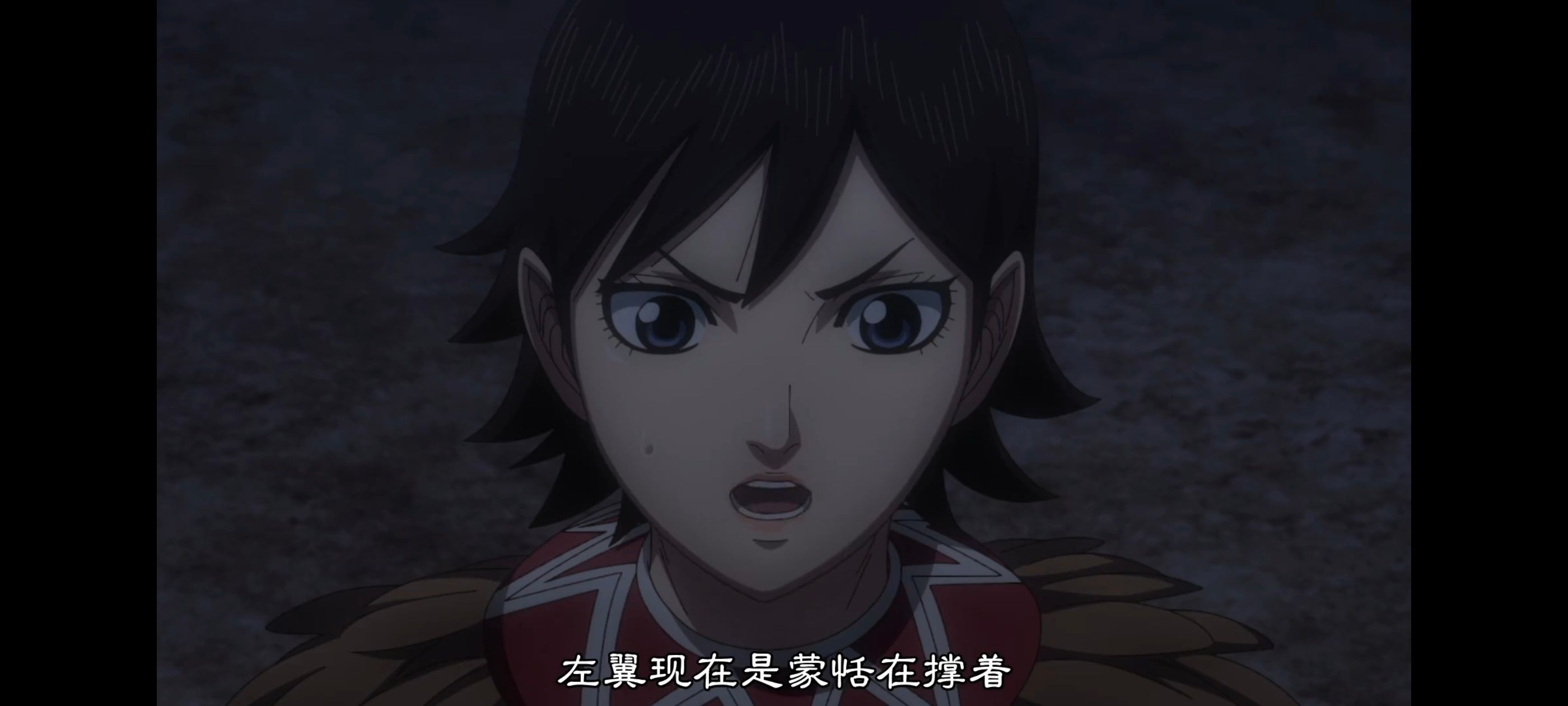 王者天下,动画,动漫,番剧,ACG