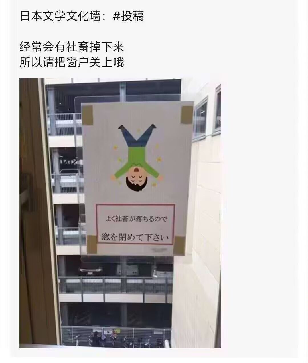 弔图,meme,迷因