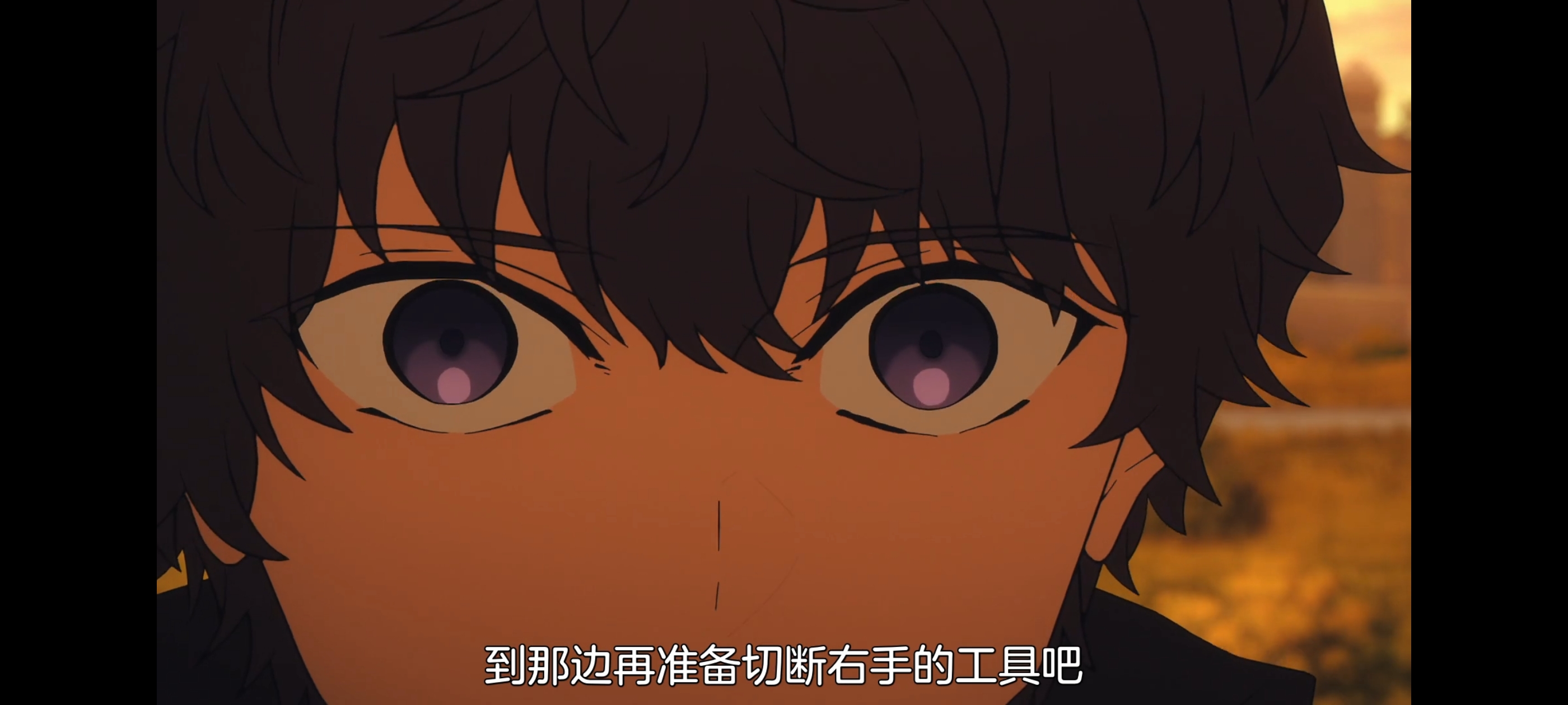 FATE,命运奇异赝品,FatestrangeFake,动画,动漫,番剧,二次元,ACG