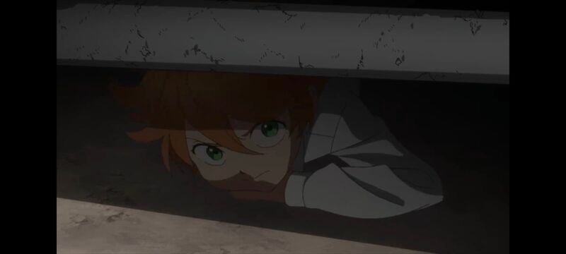 约定的梦幻岛,动画,动漫,番剧,ACG