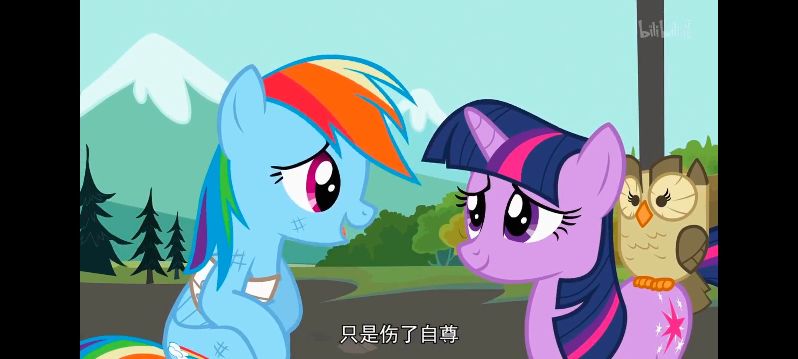 小马宝莉,彩虹小马,我的小马驹,动画,动漫,番剧,二次元,ACG