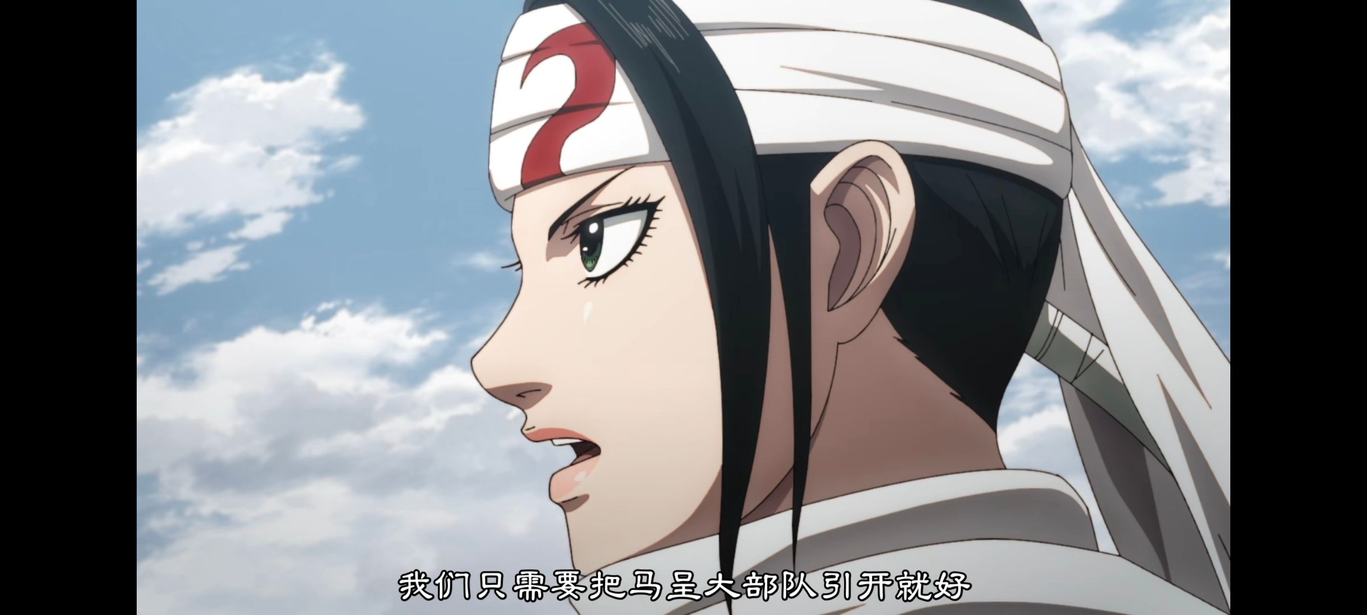 王者天下,动画,动漫,番剧,ACG