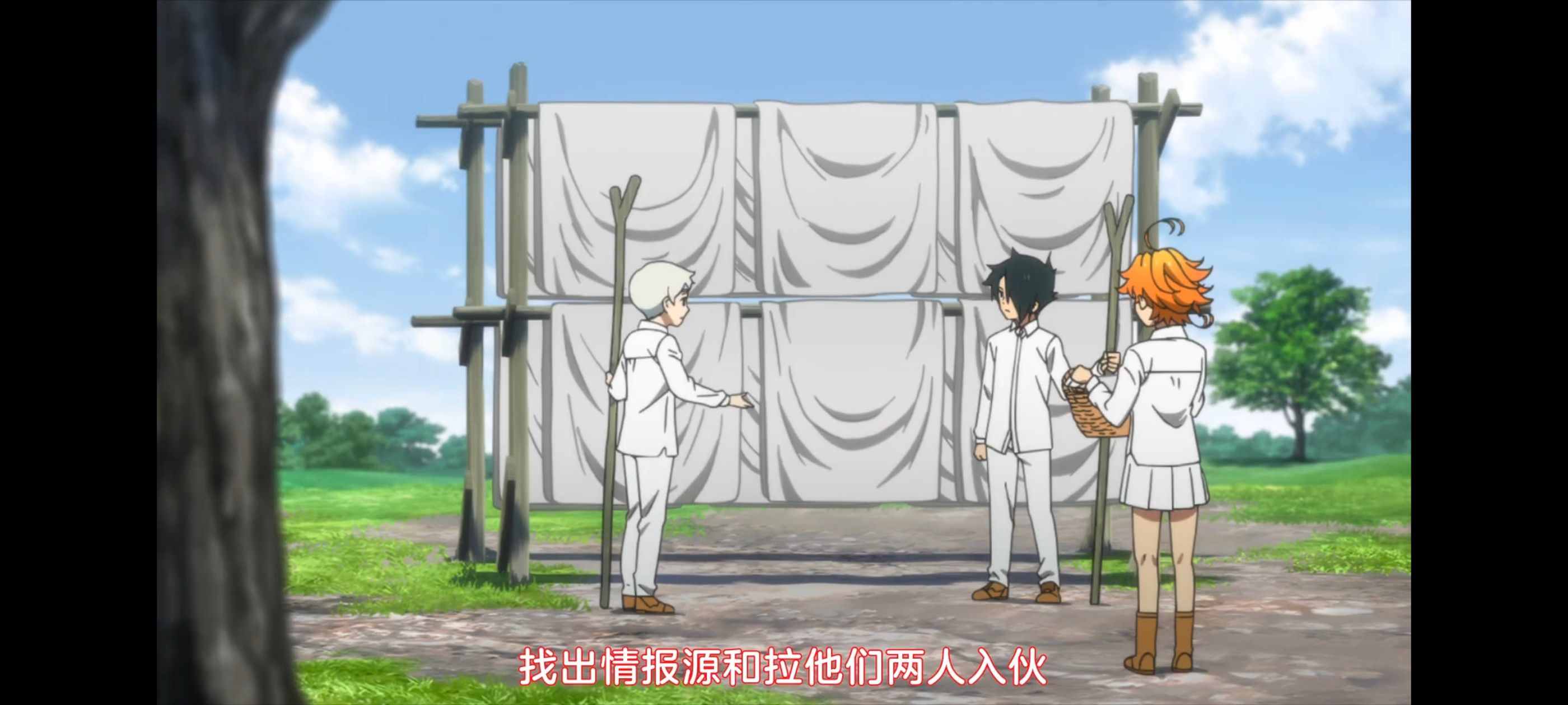 约定的梦幻岛,动画,动漫,番剧,ACG