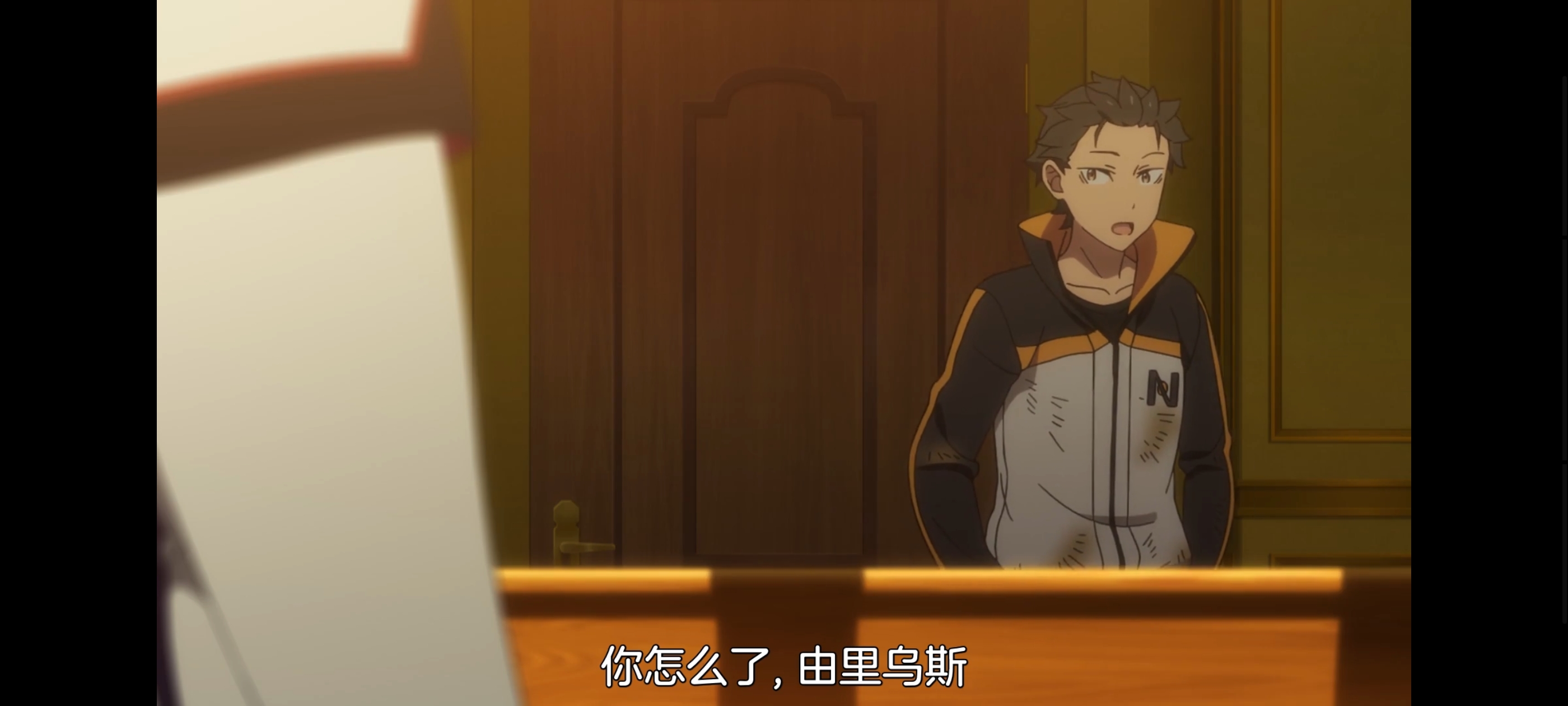 从零开始的异世界生活,动画,动漫,番剧,二次元,ACG