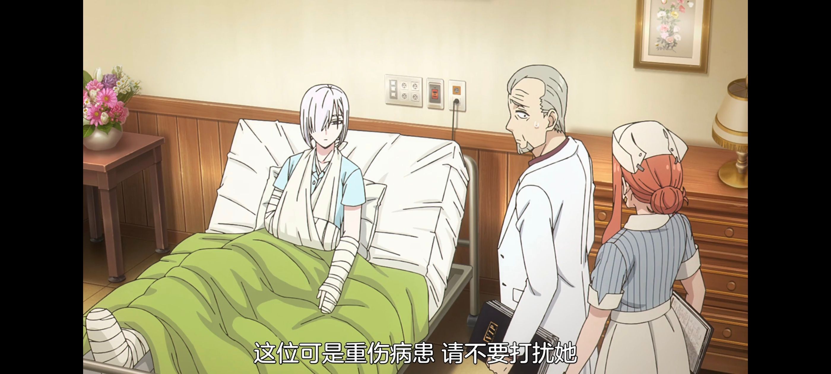 间谍过家家,SPYFAMILY,动画,动漫,番剧,ACG