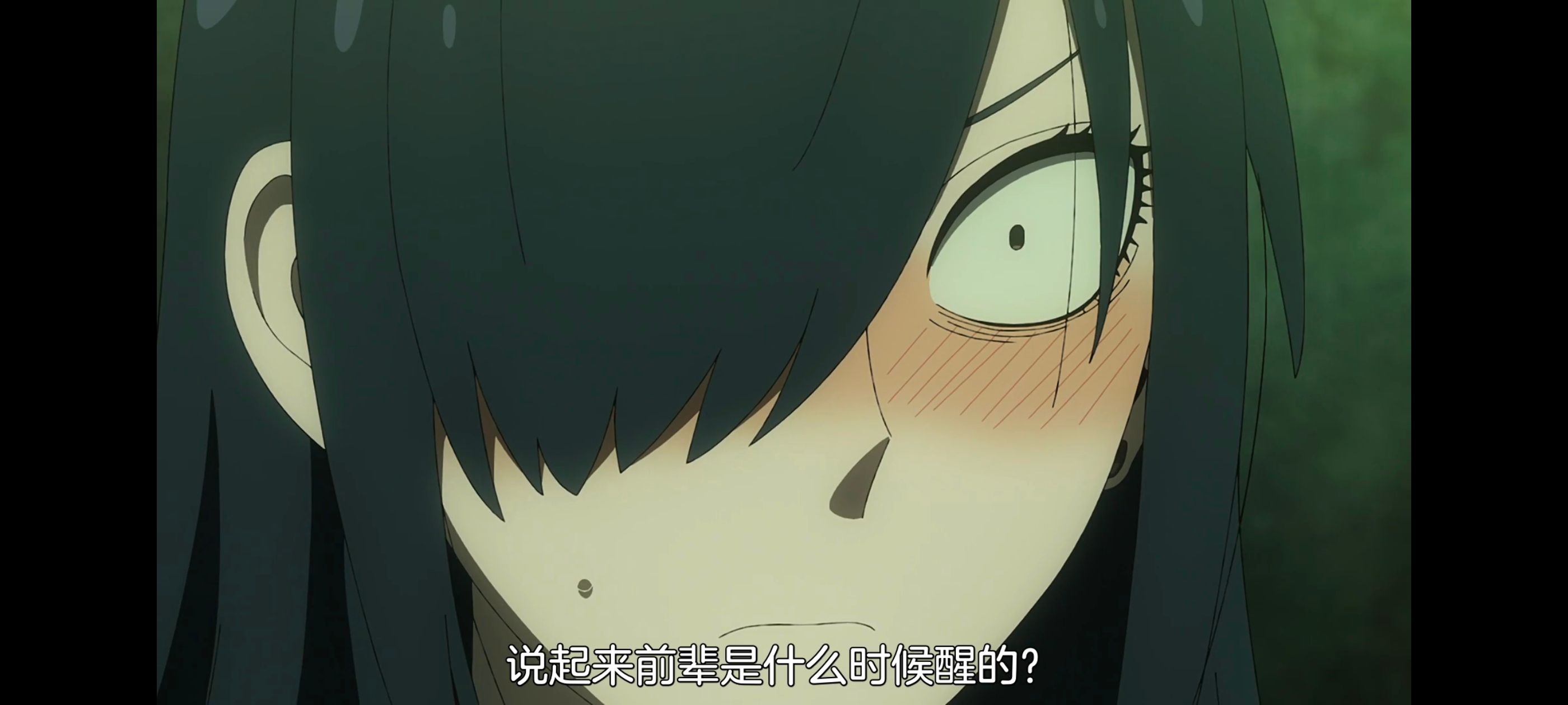 间谍过家家,SPYFAMILY,动画,动漫,番剧,ACG