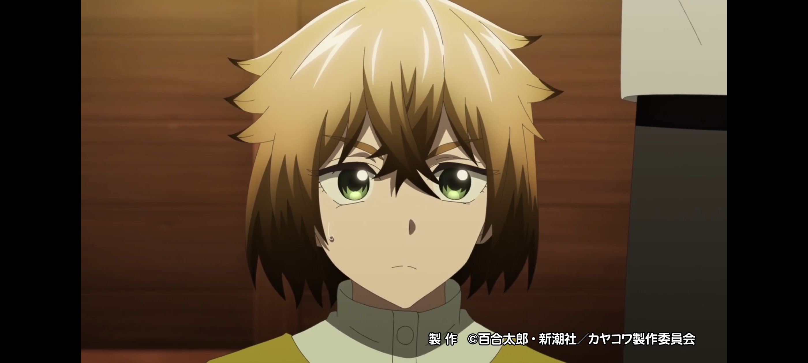 神八小妹并不可怕,小伽椰并不可怕,动画,动漫,番剧,二次元,ACG