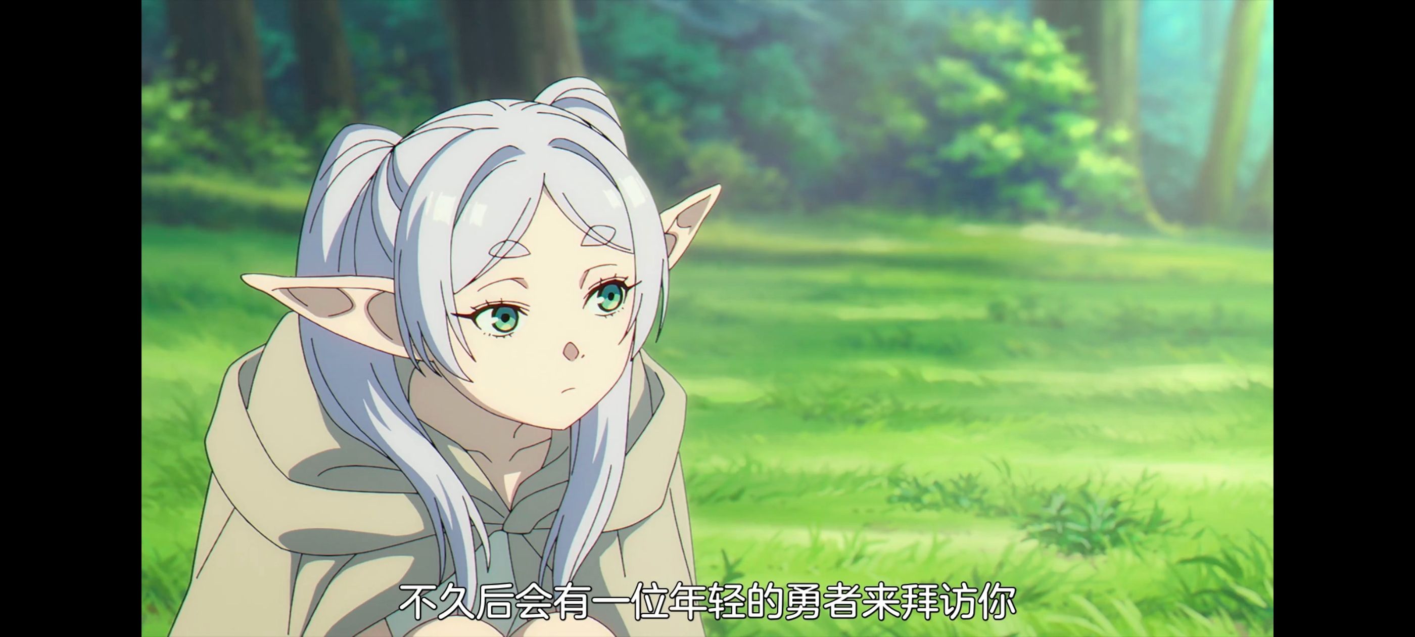 葬送的芙莉莲,动画,动漫,番剧,ACG