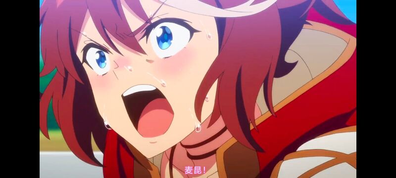 赛马娘,赛马娘PrettyDreby,赛马娘第二季,动画,动漫,番剧,ACG