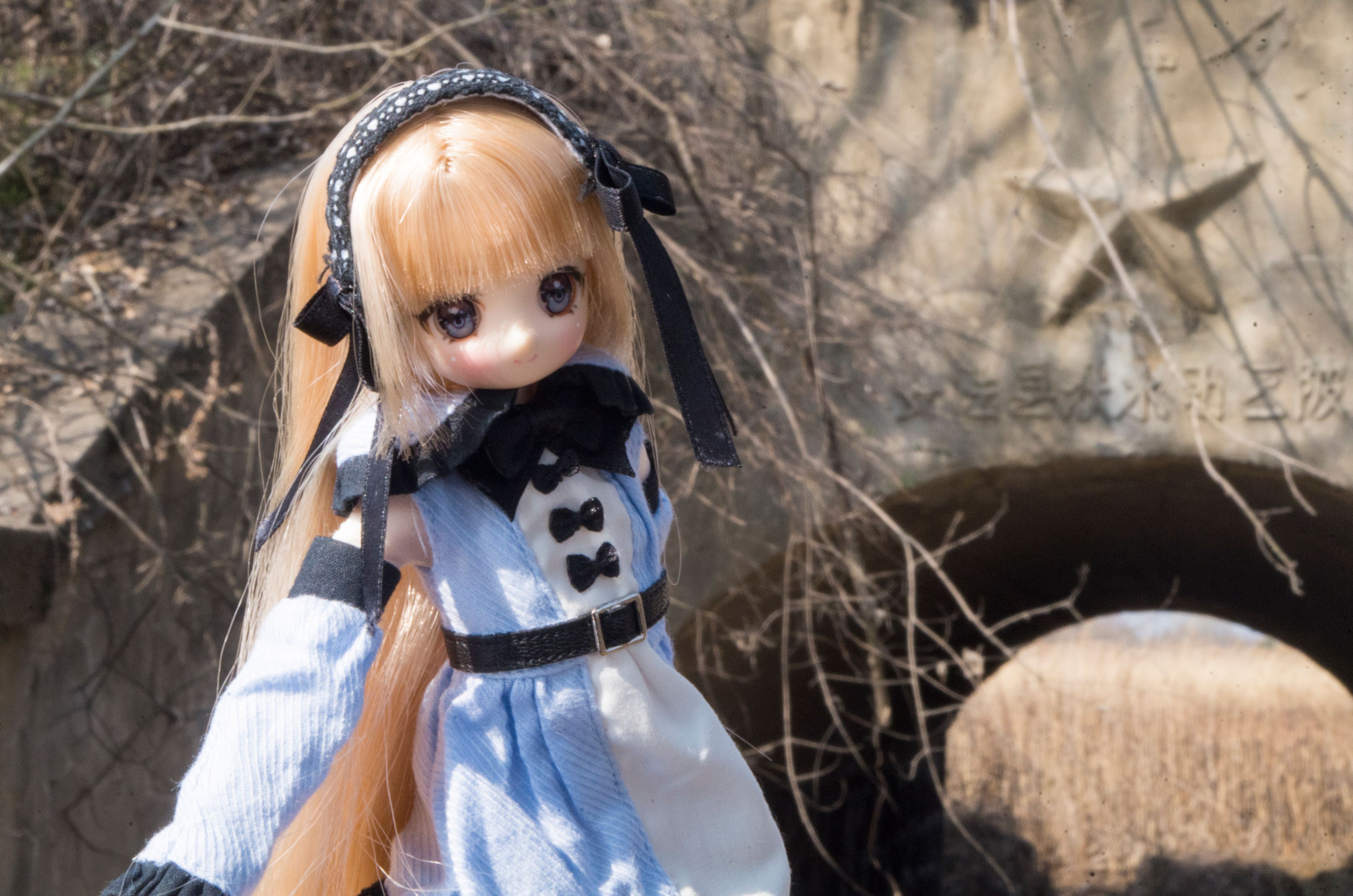 摄影,azone