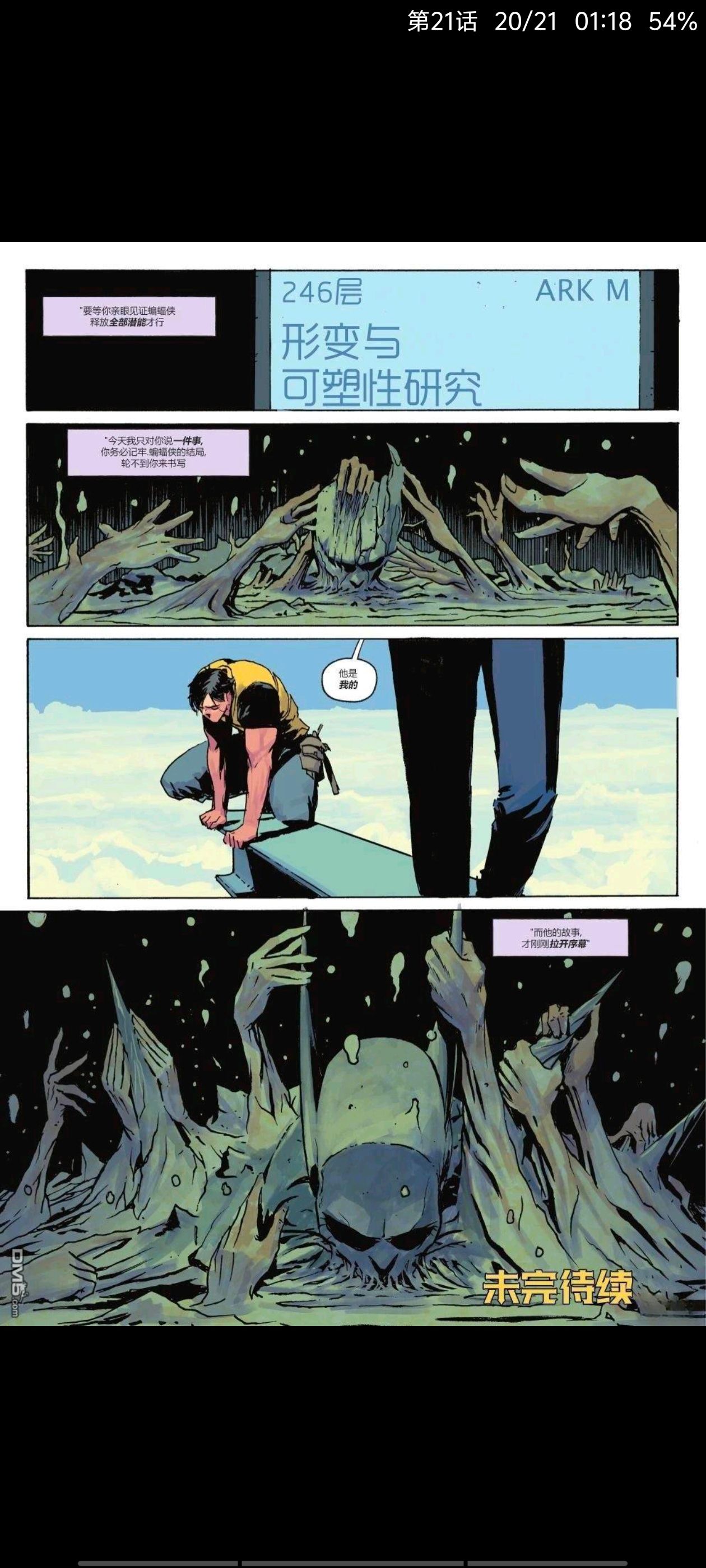 DC,DC漫画,美漫,漫画,动漫,绝对蝙蝠侠,蝙蝠侠,ACG,超级英雄