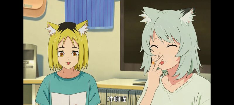 尼古喵喵,雅尼猫,动画,动漫,番剧,日漫,二次元,ACG