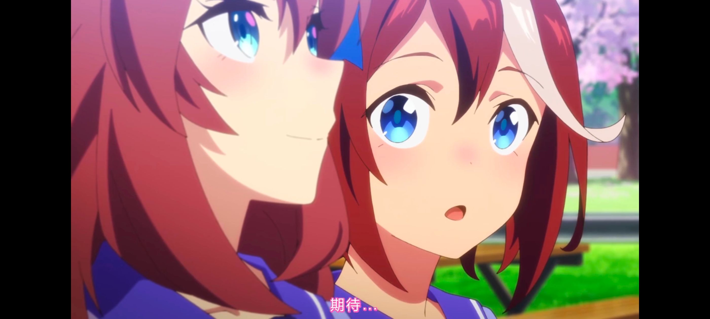 赛马娘,赛马娘第二季,动画,动漫,番剧,二次元,ACG,赛马娘PrettyDerby