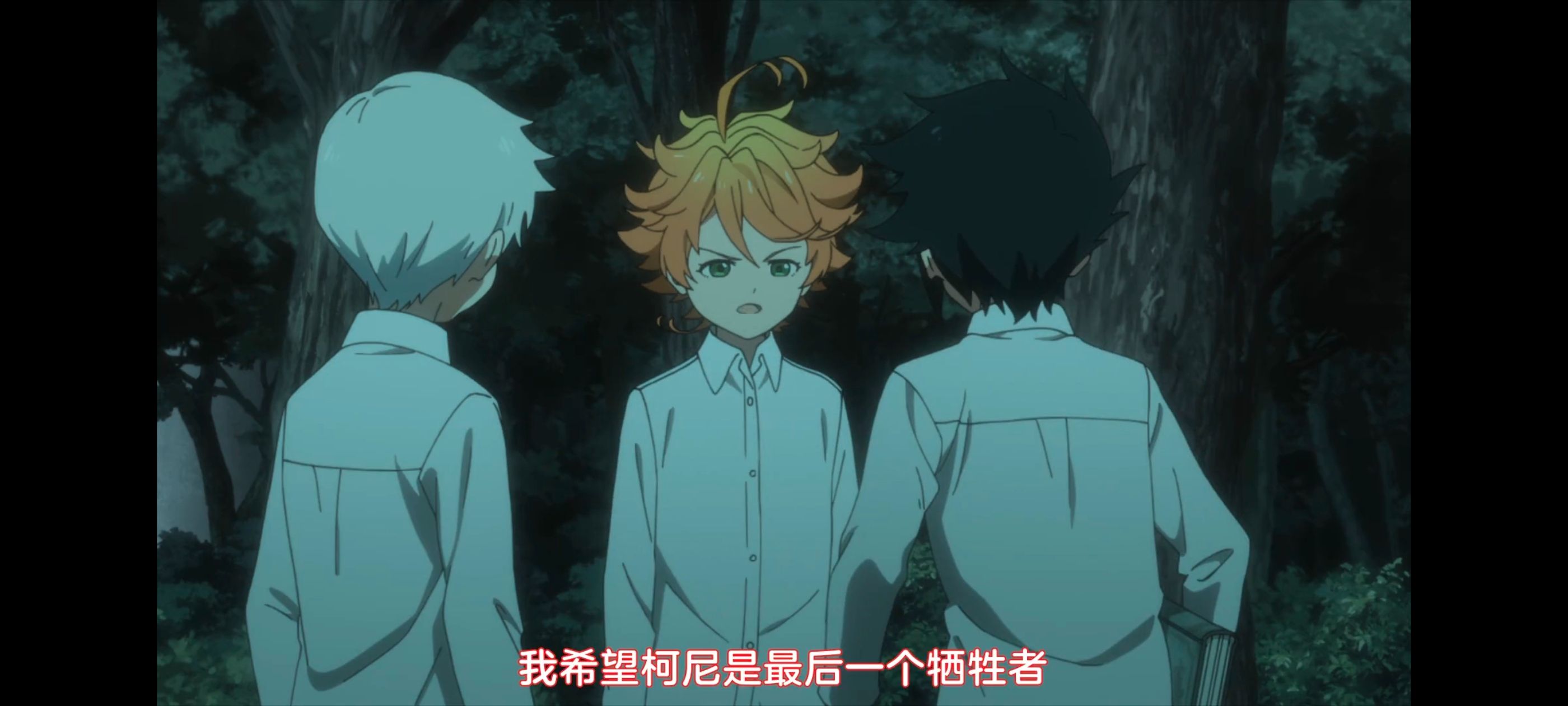 约定的梦幻岛,动画,动漫,番剧,ACG