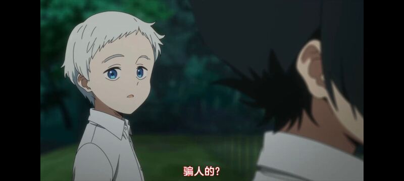 约定的梦幻岛,动画,动漫,番剧,ACG