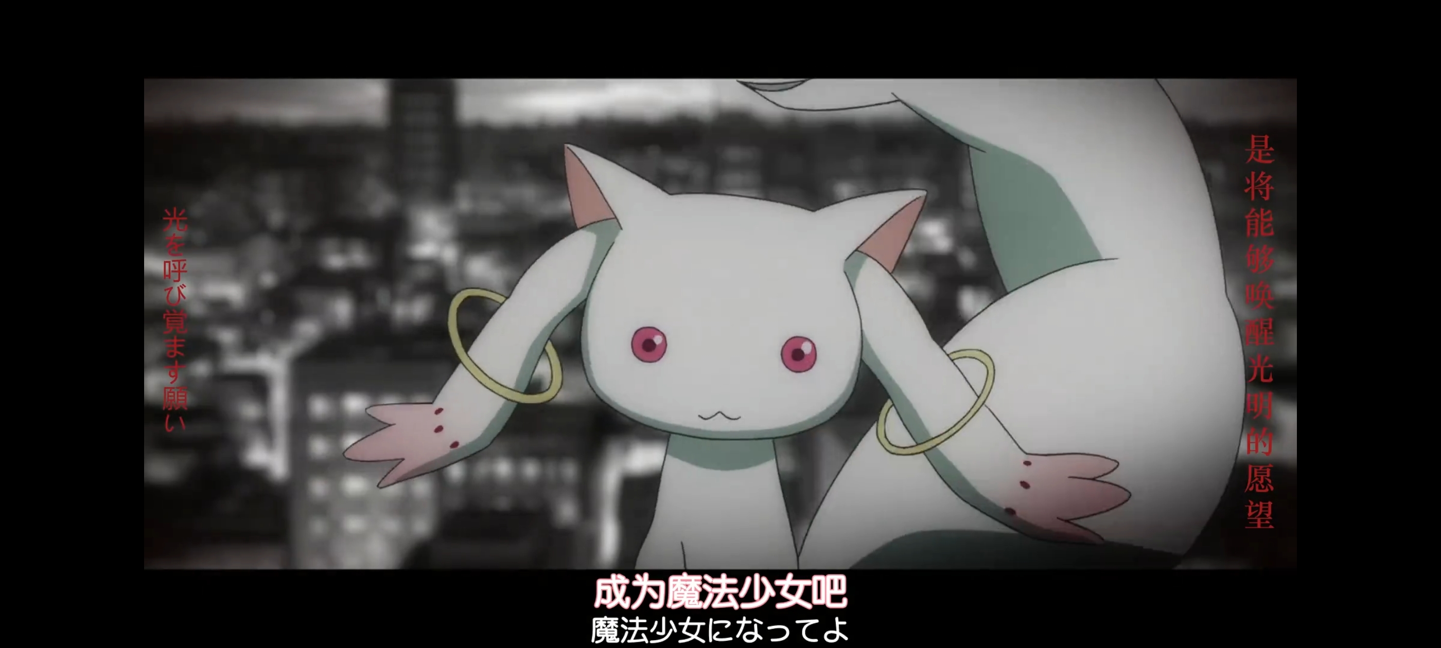 魔法少女小圆,魔法少女,动画,动漫,二次元,ACG