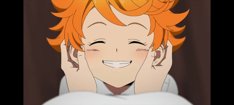 约定的梦幻岛,动画,动漫,番剧,ACG