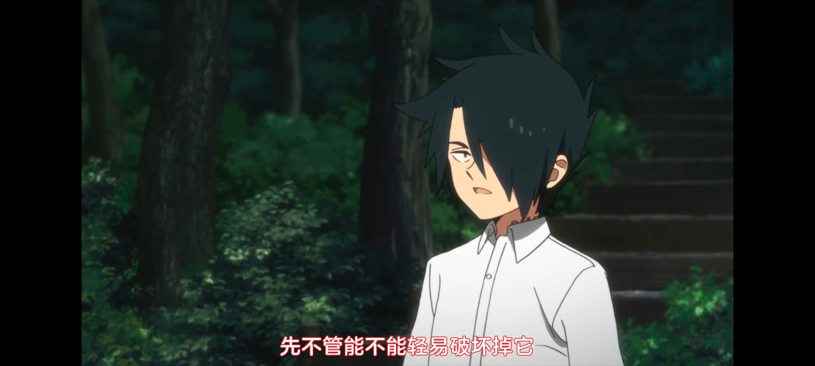 约定的梦幻岛,动画,动漫,番剧,ACG