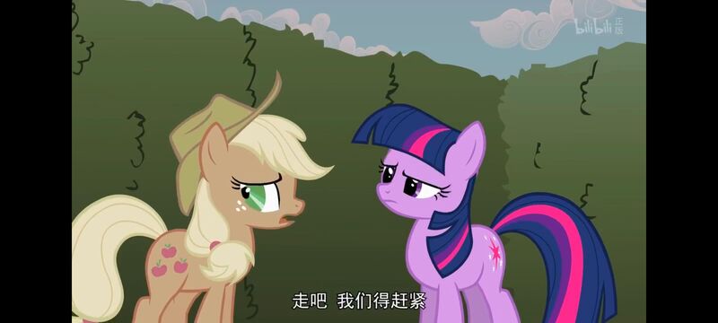 小马宝莉,小马宝莉友谊魔法,彩虹小马,我的小马驹,动画,动漫,番剧,ACG