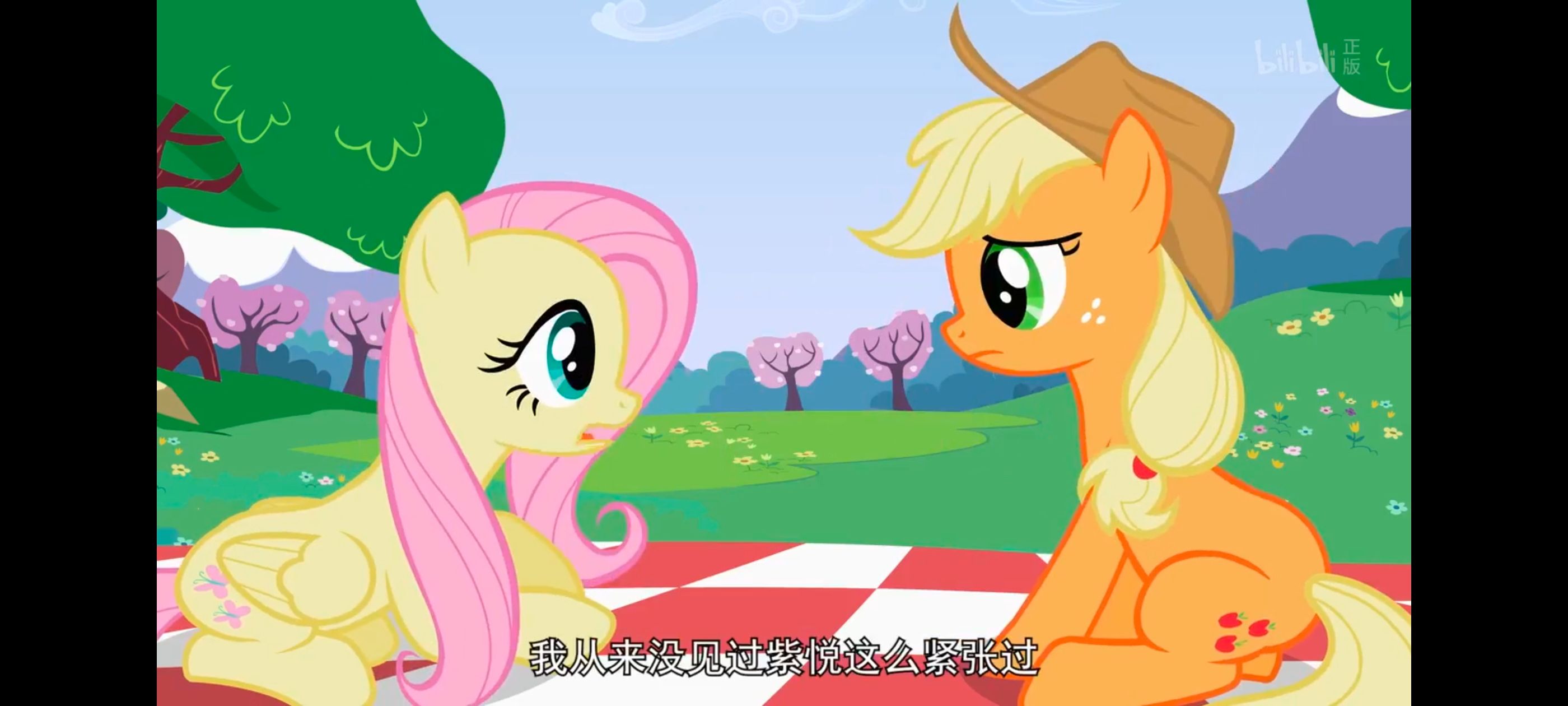 小马宝莉,小马宝莉友谊魔法,彩虹小马,我的小马驹,动画,动漫,番剧,ACG