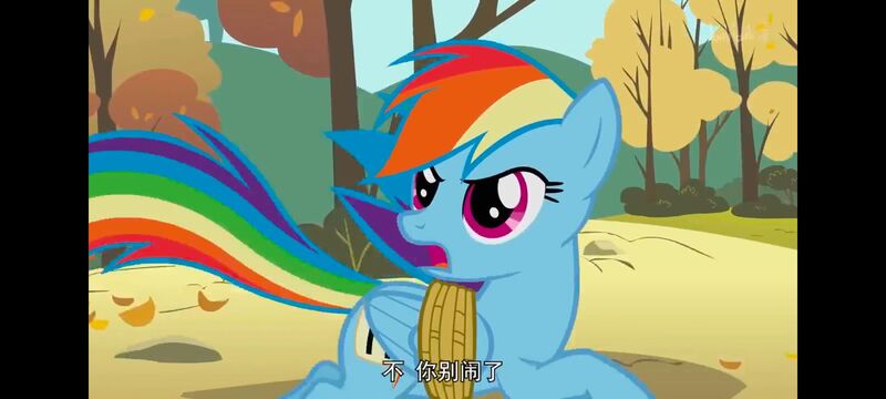 小马宝莉,小马宝莉友谊魔法,彩虹小马,我的小马驹,动画,动漫,番剧,ACG