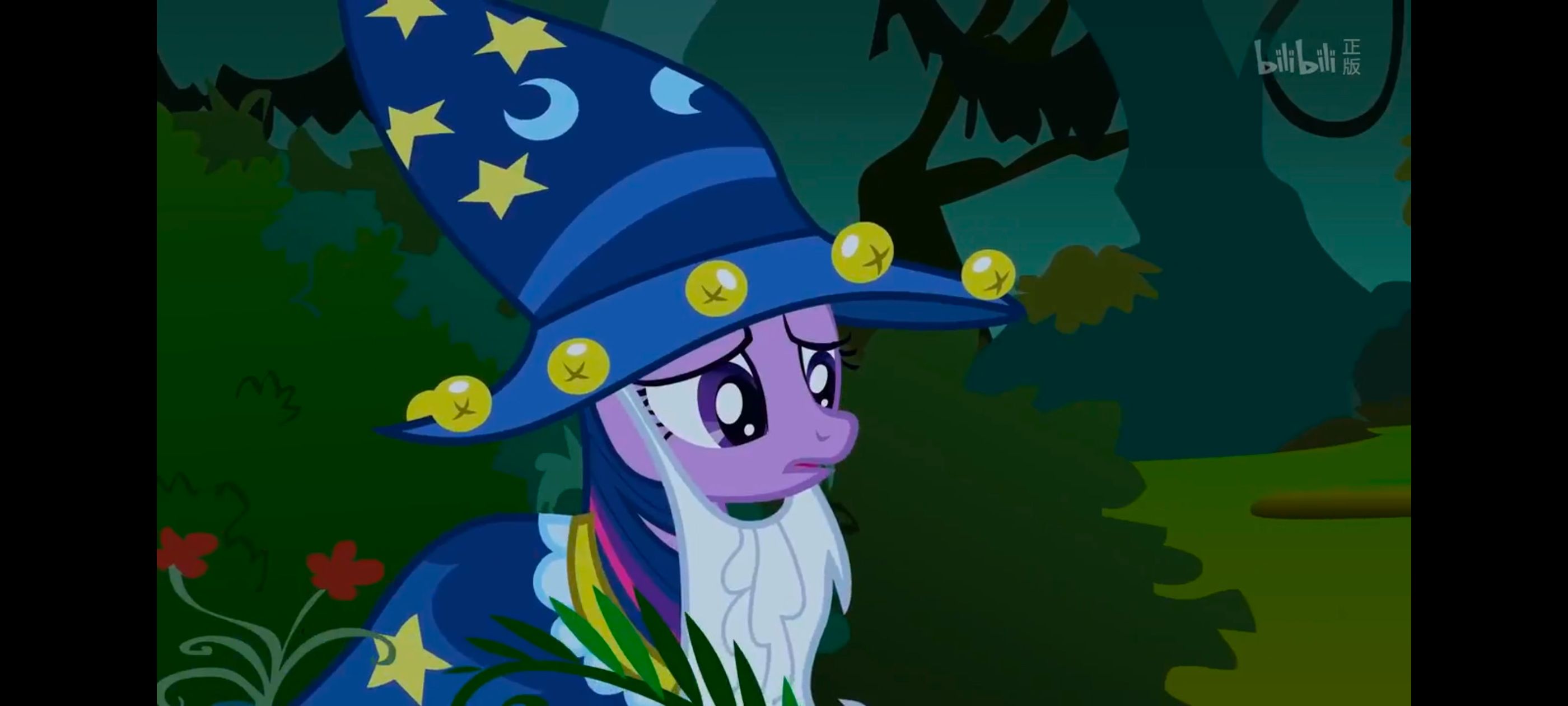 小马宝莉,小马宝莉友谊魔法,彩虹小马,我的小马驹,动漫,动画,番剧,ACG