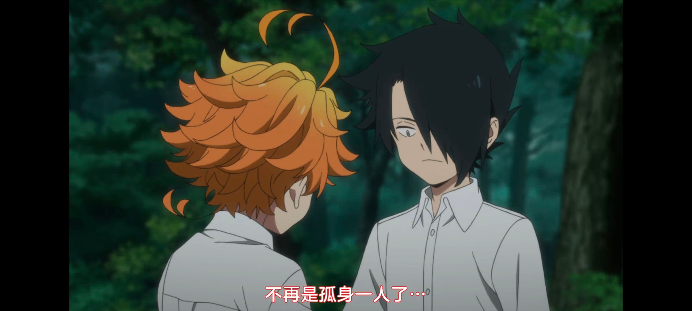 约定的梦幻岛,动画,动漫,番剧,ACG