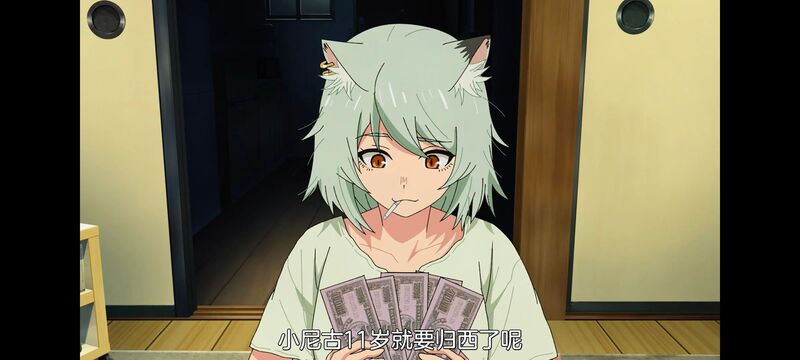 尼古喵喵,雅尼猫,动画,动漫,番剧,日漫,二次元,ACG