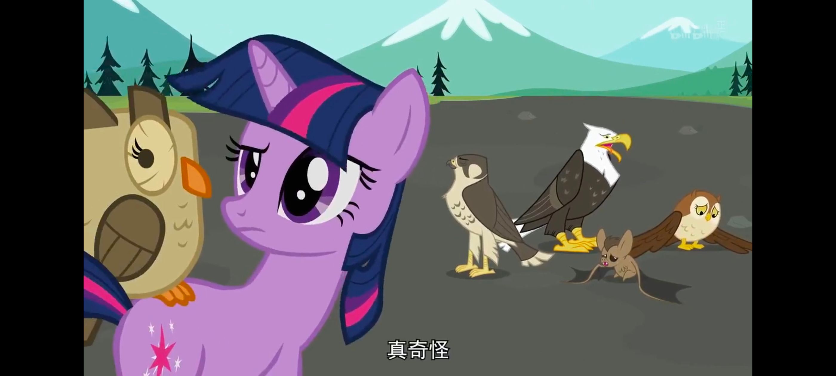 小马宝莉,彩虹小马,我的小马驹,动画,动漫,番剧,二次元,ACG