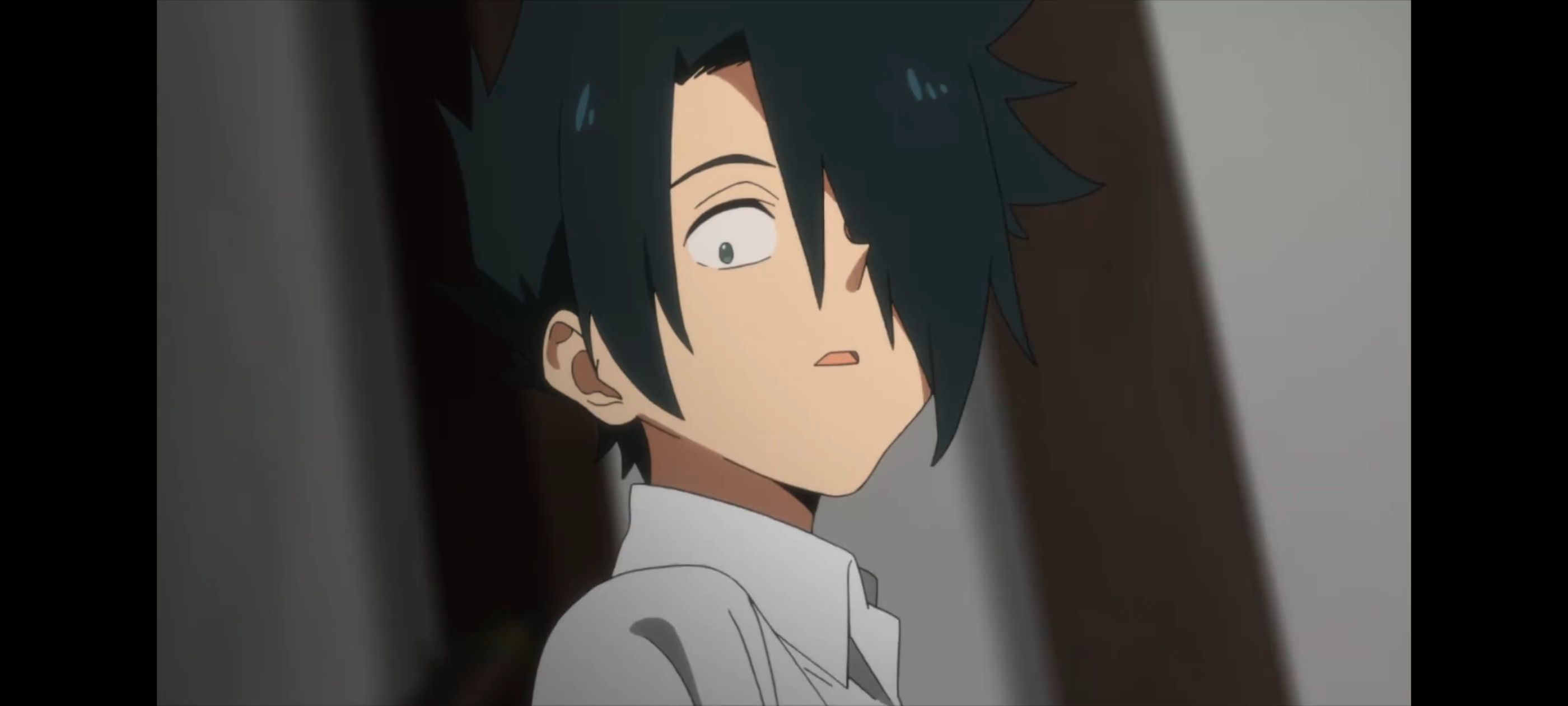 约定的梦幻岛,动画,动漫,番剧,二次元,ACG