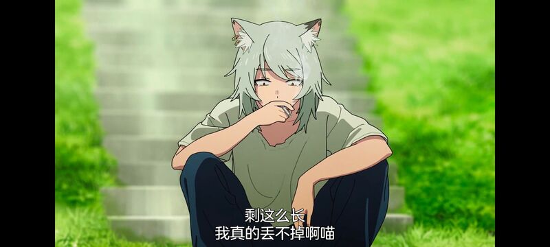 尼古喵喵,雅尼猫,动画,动漫,番剧,二次元,日漫,ACG