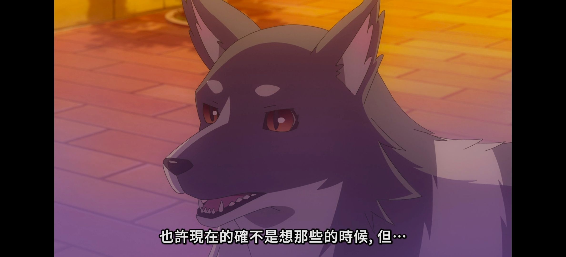 幻日的夜羽,番剧,番剧吐槽,吐槽,Lovelive,lovelive,LOVELIVE系列