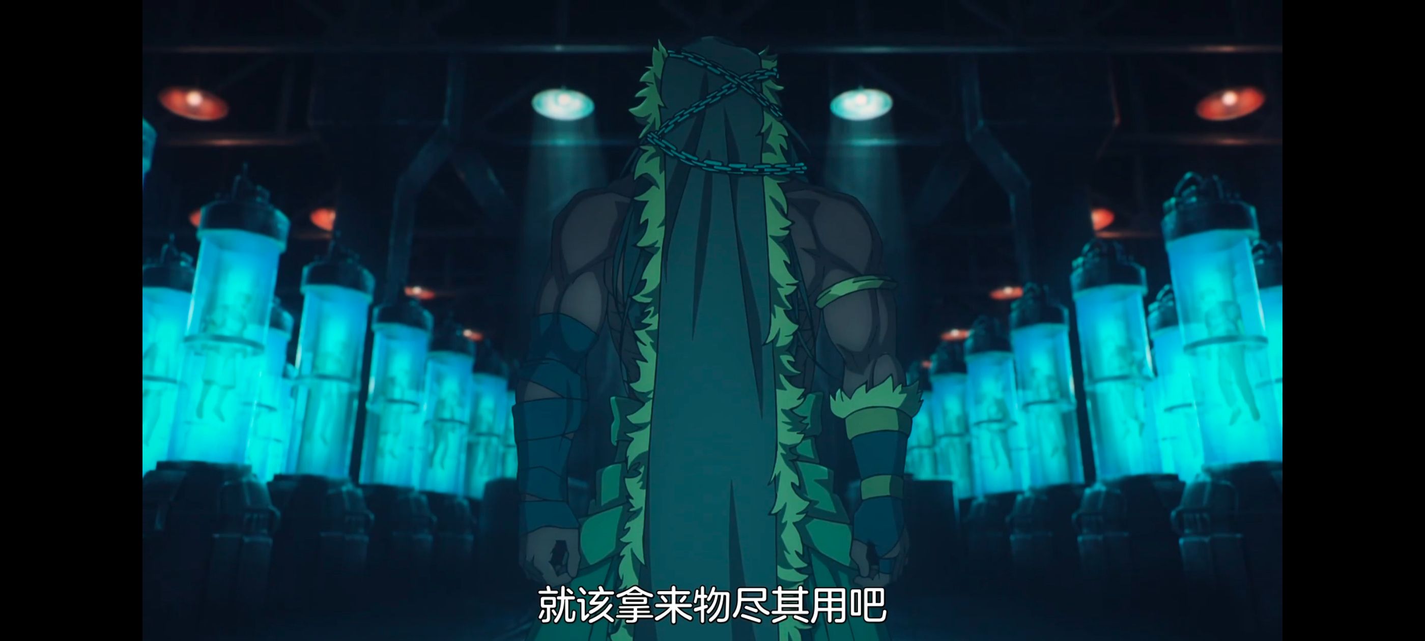 命运奇异赝品,FatestrangeFake,动画,动漫,番剧,ACG