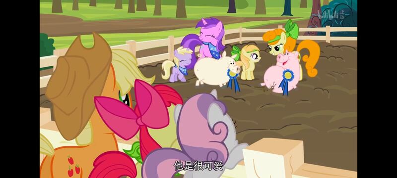 小马宝莉,小马宝莉友谊魔法,彩虹小马,我的小马驹,动画,动漫,番剧,ACG