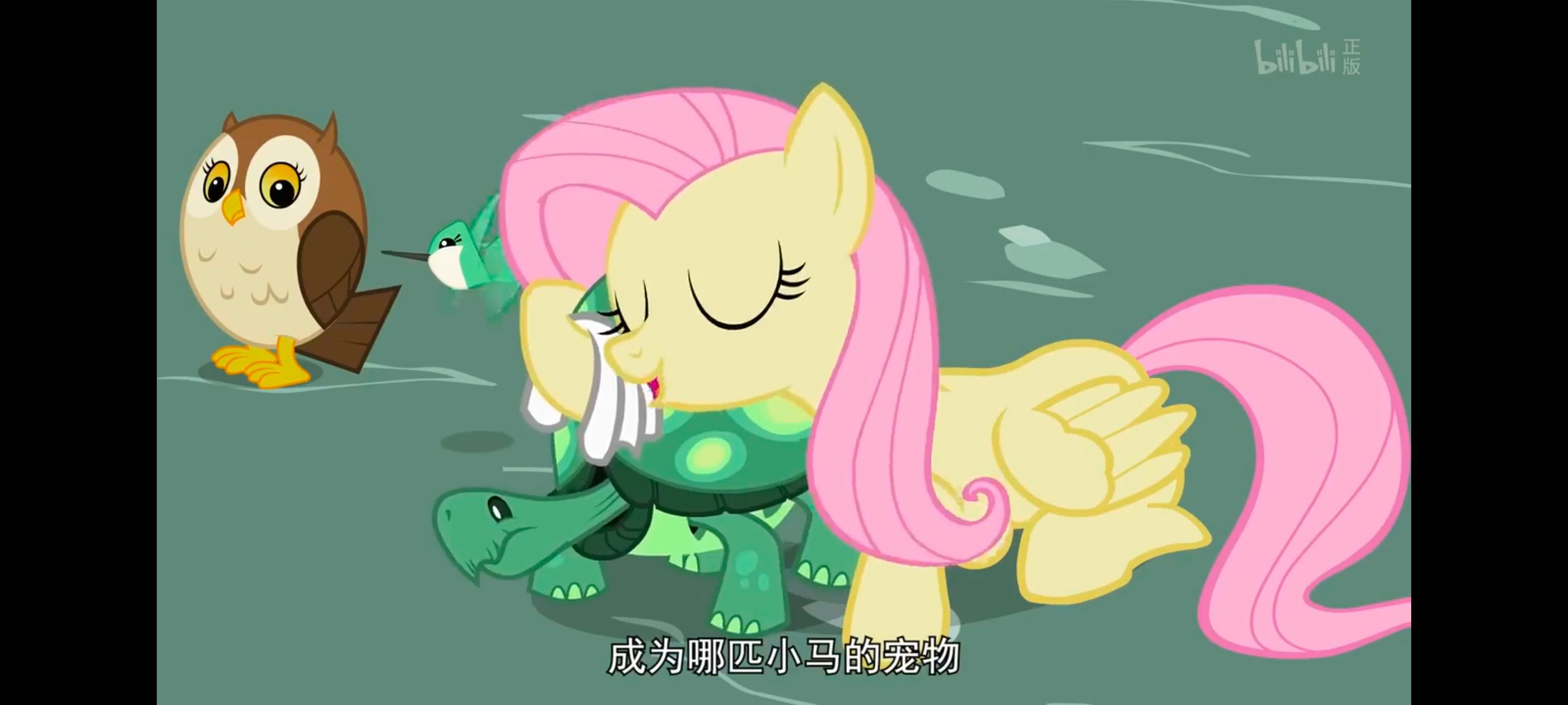 小马宝莉,彩虹小马,我的小马驹,动画,动漫,番剧,二次元,ACG