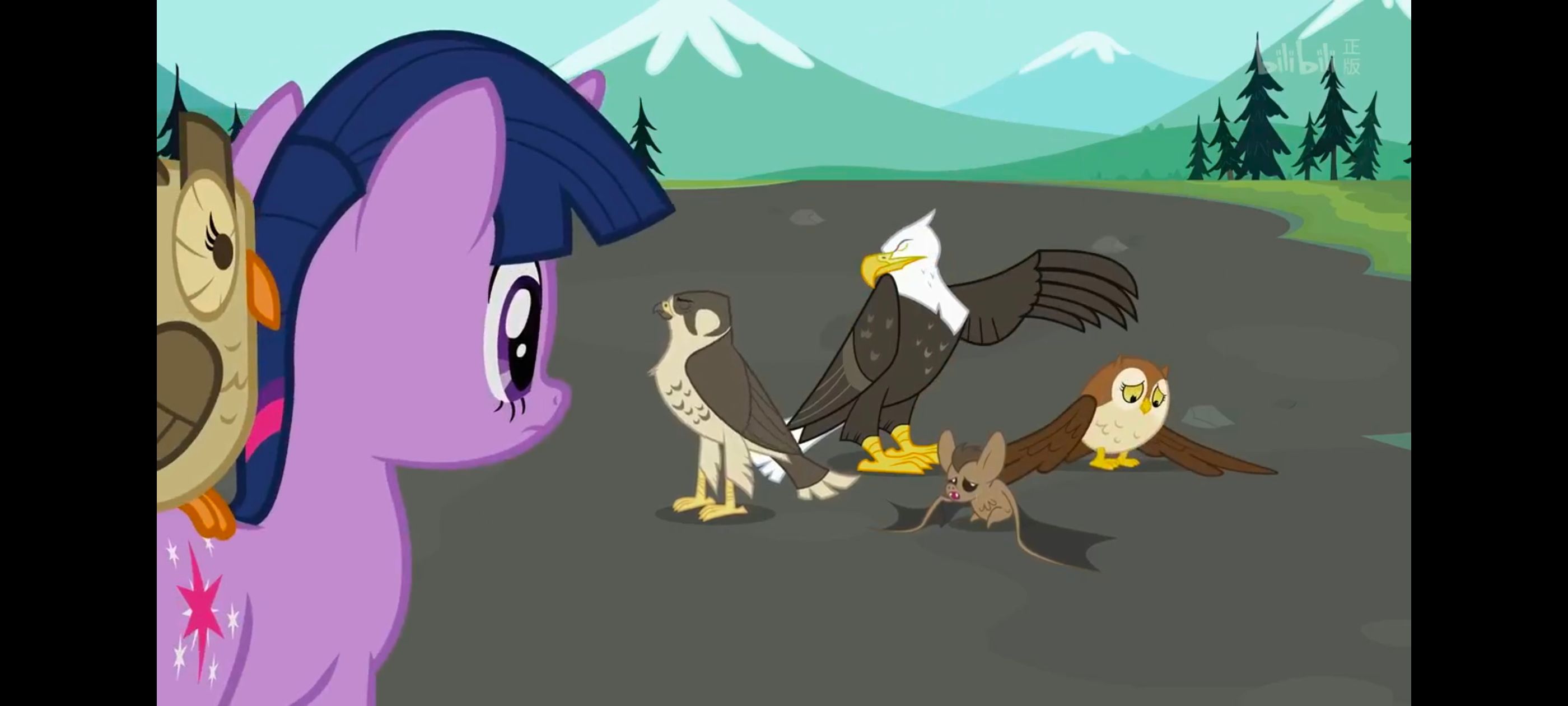 小马宝莉,彩虹小马,我的小马驹,动画,动漫,番剧,二次元,ACG