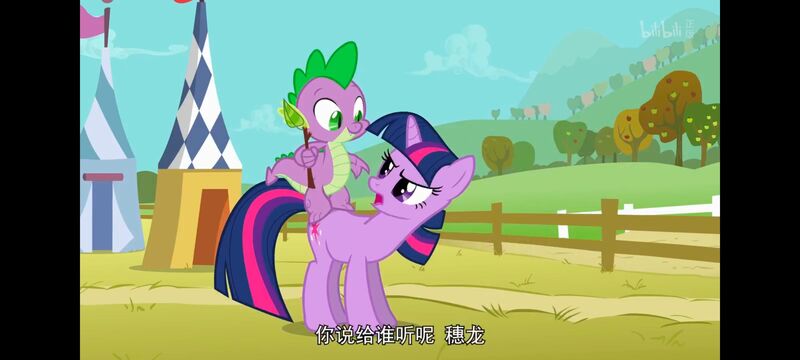 小马宝莉,小马宝莉友谊魔法,彩虹小马,我的小马驹,动画,动漫,番剧,ACG