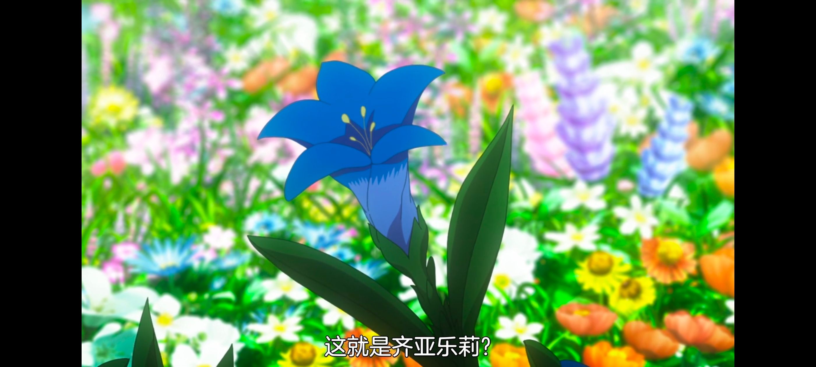 凭你也想讨伐魔王,你这种家伙别想打败魔王,动画,动漫,番剧,ACG