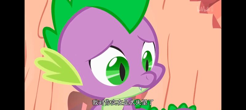 小马宝莉,彩虹小马,我的小马驹,动画,动漫,番剧,ACG,小马宝莉友谊魔法