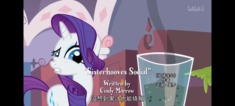 小马宝莉,小马宝莉友谊魔法,彩虹小马,我的小马驹,动画,动漫,番剧,ACG