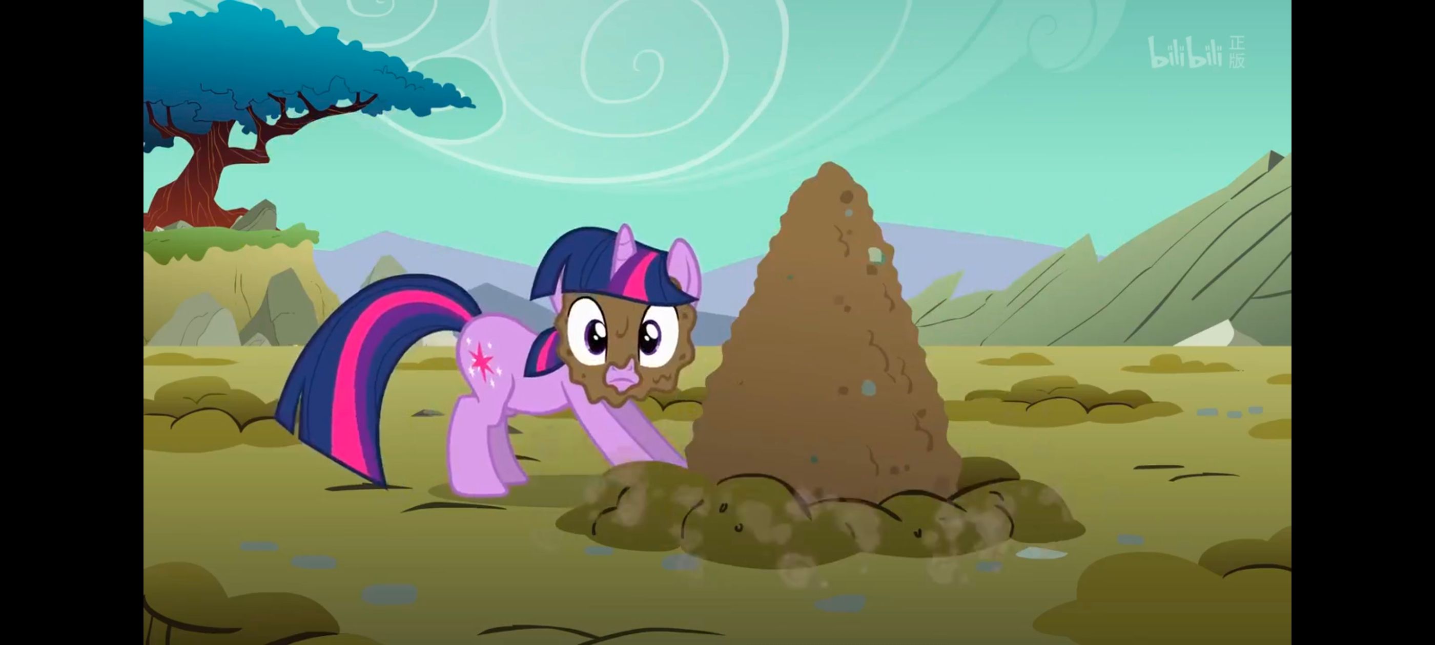 彩虹小马,小马宝莉,我的小马驹,小马宝莉友谊魔法,动画,动漫,番剧,ACG