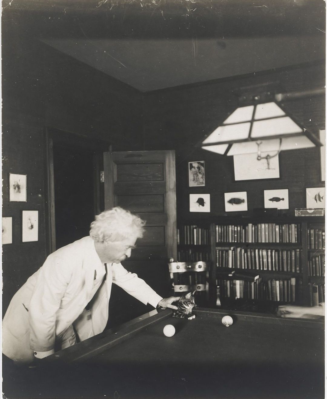 文学,历史,马克吐温