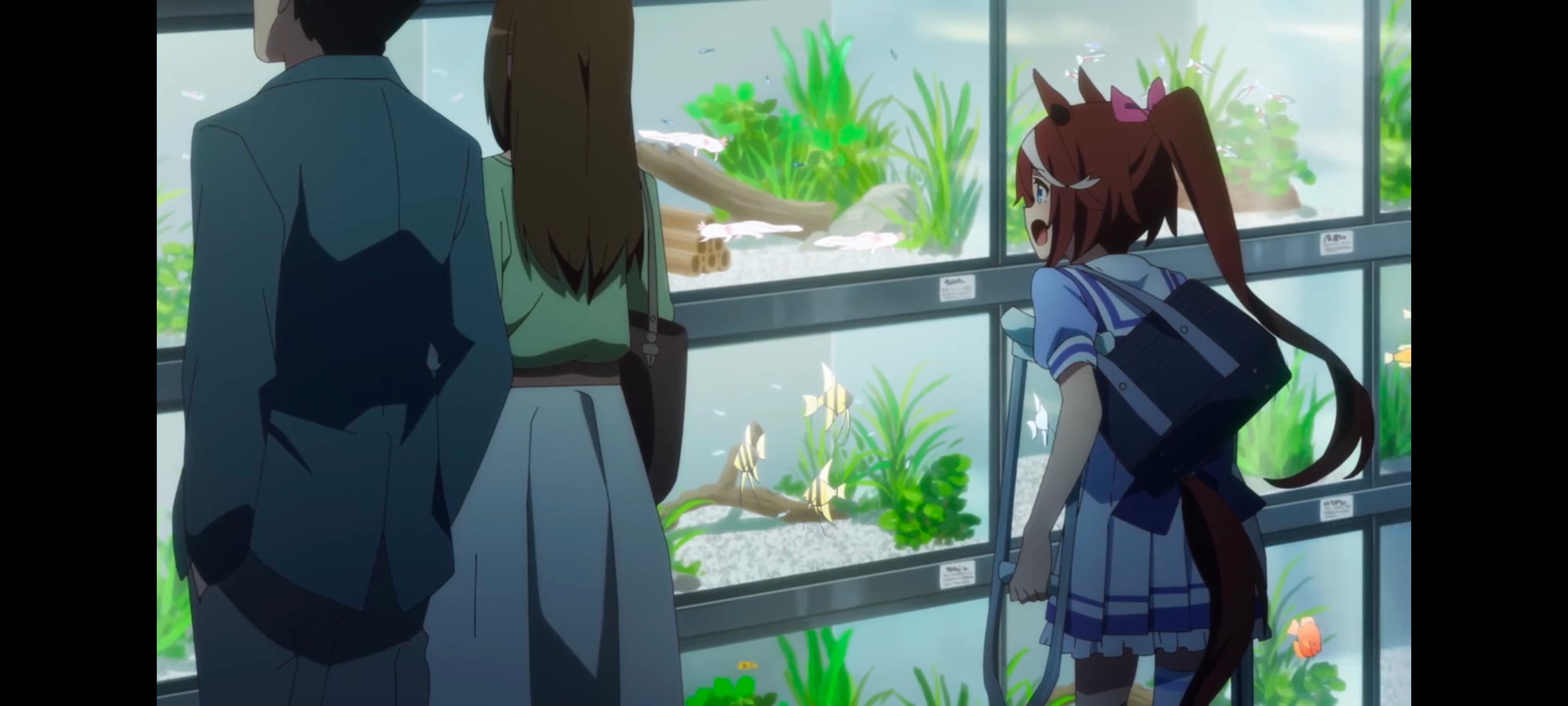 赛马娘,赛马娘PrettyDerby,赛马娘第二季,番剧,动画,动漫,二次元,ACG